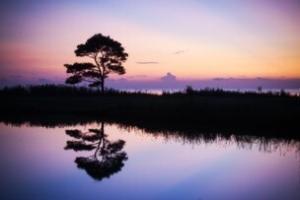 I'm Just a... And Other Undermining Statements to Avoid - blog post by Media Trainer Lisa Elia