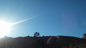 Top 10 Communication Tips From Lisa Elia, Media Trainer, Presentation Trainer, Communication Consultant at Expert Media Training