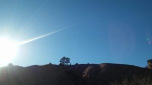 Tips from Media Trainer and Presentation Trainer Lisa Elia at Expert Media Training