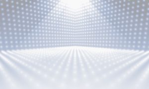 Expert Media Training