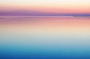 What Do People Need to Hear from You? by Media Trainer, Presentation Trainer and Investor Pitch Coach Lisa Elia at Expert Media Training